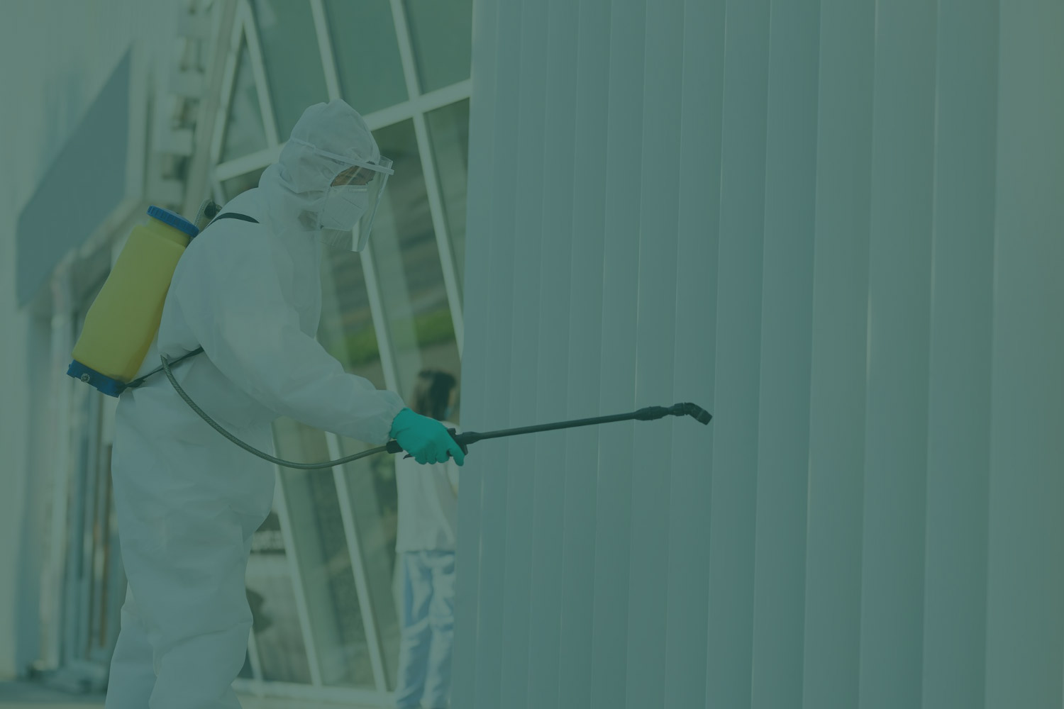 Servicio profesional de fumigaciones en Rosario